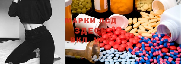 apvp Надым