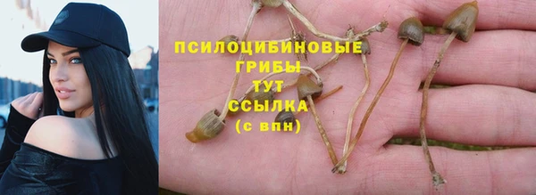 прущая мука Навашино