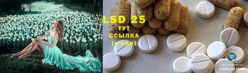 продажа наркотиков  Заволжье  ЛСД экстази ecstasy 