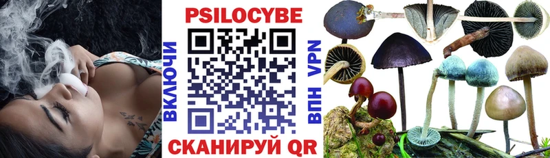 Галлюциногенные грибы Psilocybine cubensis  как найти закладки  Заволжье 