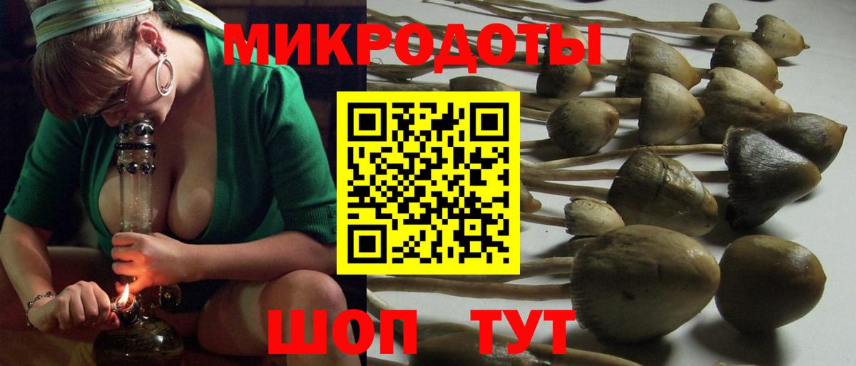 Заволжье  Псилоцибиновые грибы прущие грибы  купить  сайты  Галлюциногенные грибы Magic Shrooms  Вход с VPN 