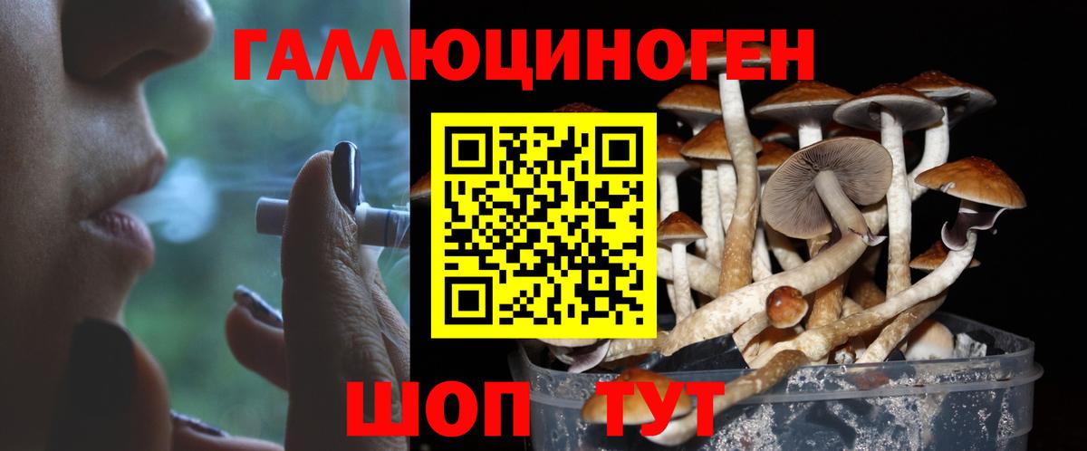 Псилоцибиновые грибы ЛСД Заволжье